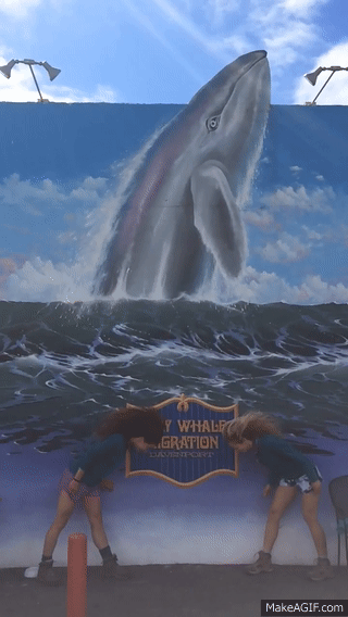 Headbanging_for_the_Gray_Whale_Migration