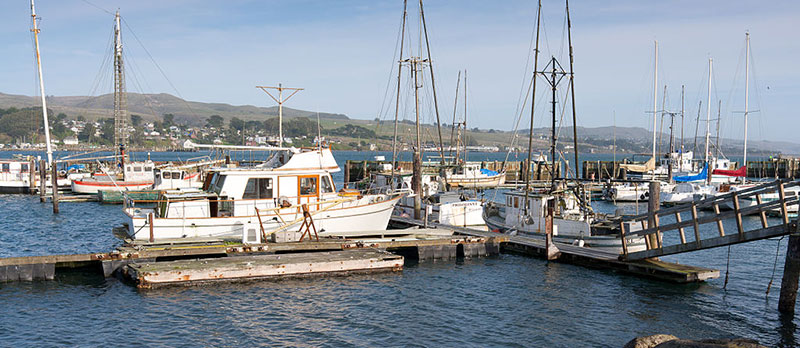 Fisherboats at Bodega Harbor. Image: Frank Schulenburg / CC BY-SA (https://creativecommons.org/licenses/by-sa/3.0)