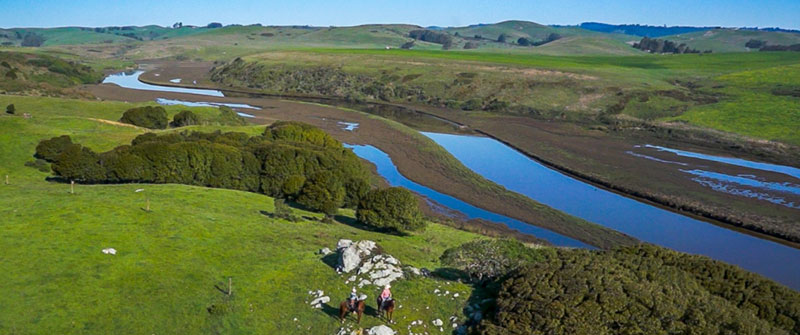 Estero Ranch is riparian to the Estero Americano which meanders through the northern boundary of the ranch for over two miles